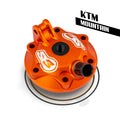 S3 Mountain KTM 250 >17 cilindra galva
