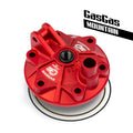 S3 Mountain Gasgas 300 cilindra galva