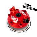 S3 Mountain Beta 300 RR cilindra galva