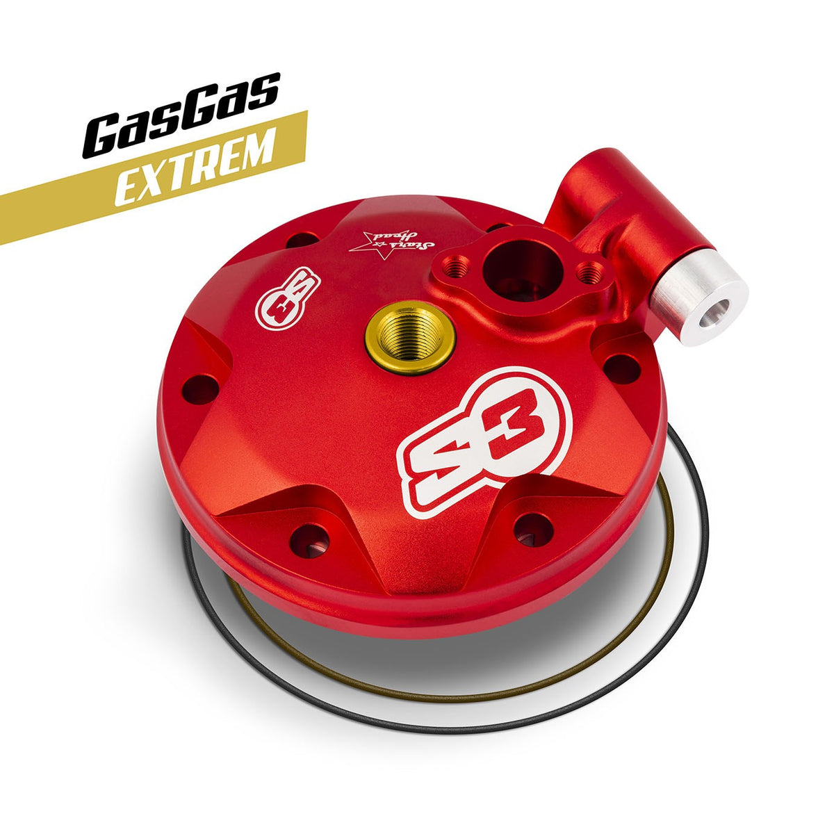 S3 E Gasgas Enduro EC 300 cilindra galva