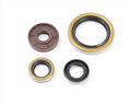 S3 OIL Seal blīves
