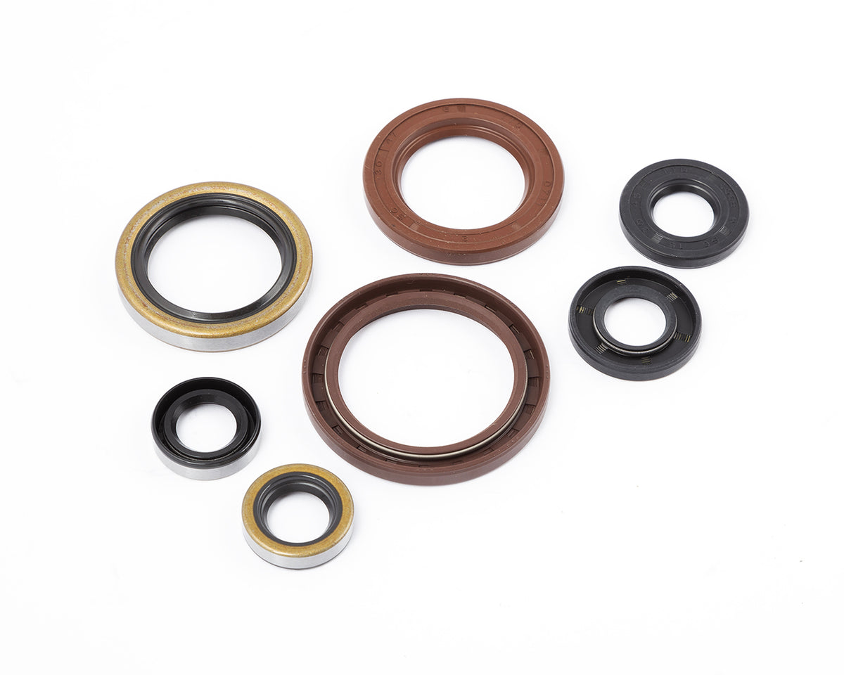 S3 OIL Seal blīves