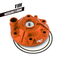 S3 Mountain KTM 300 TBI cilindra galva