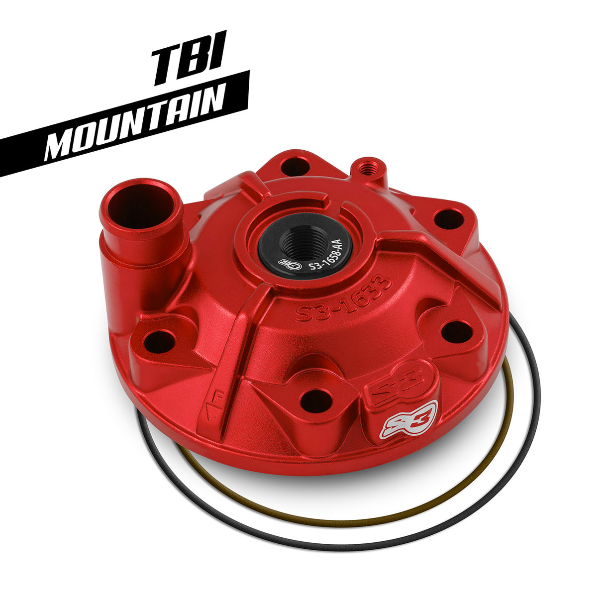 S3 Mountain GG 300 TBI cilindra galva