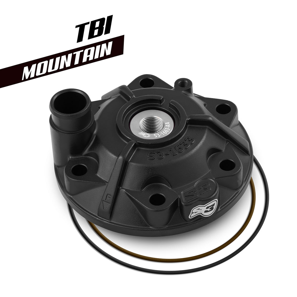 S3 Montain 300 TBI cilindra galva
