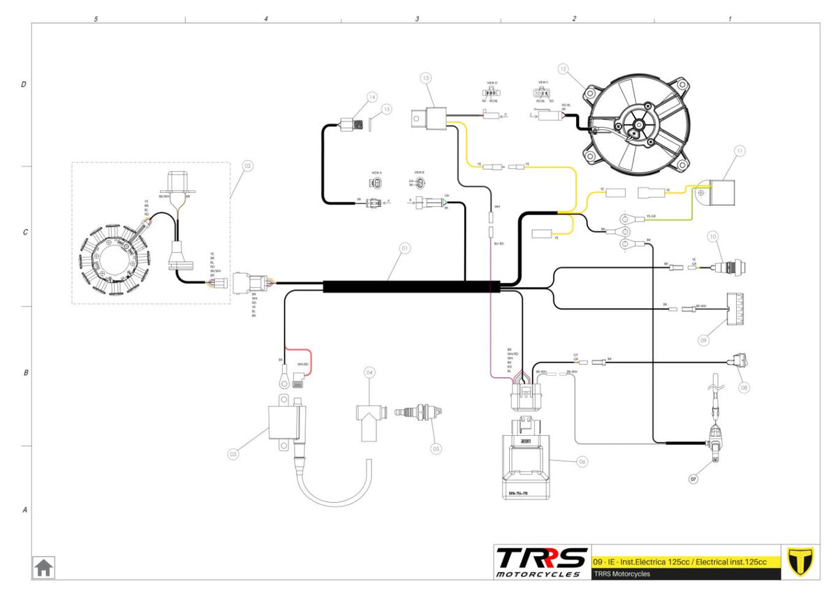 TRRS 2024 XTRACK ONE RR (HOMOLOGATED) — 09TR-125 Elektroinstalācija 125cc