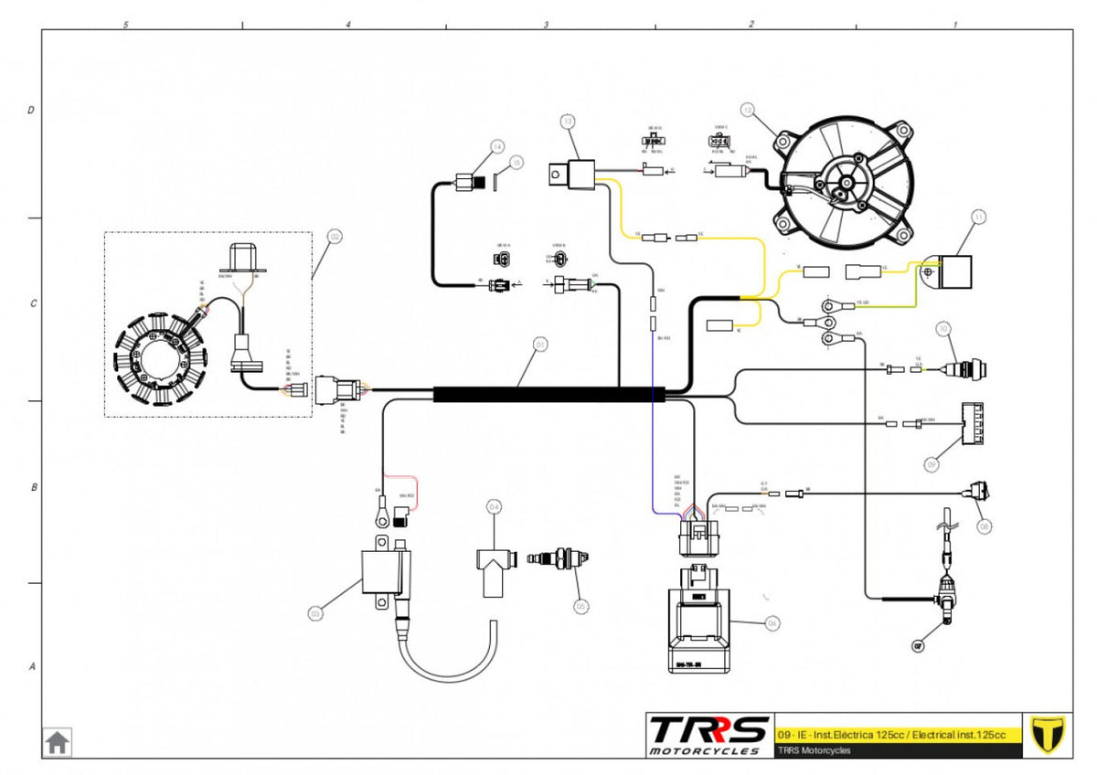 TRRS 2024 ONE RR (HOMOLOGATED) — 09TR-125 Elektroinstalācija 125cc