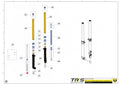 TRRS 2023 ONE GOLD — 04BTR Balstiekārta TECH