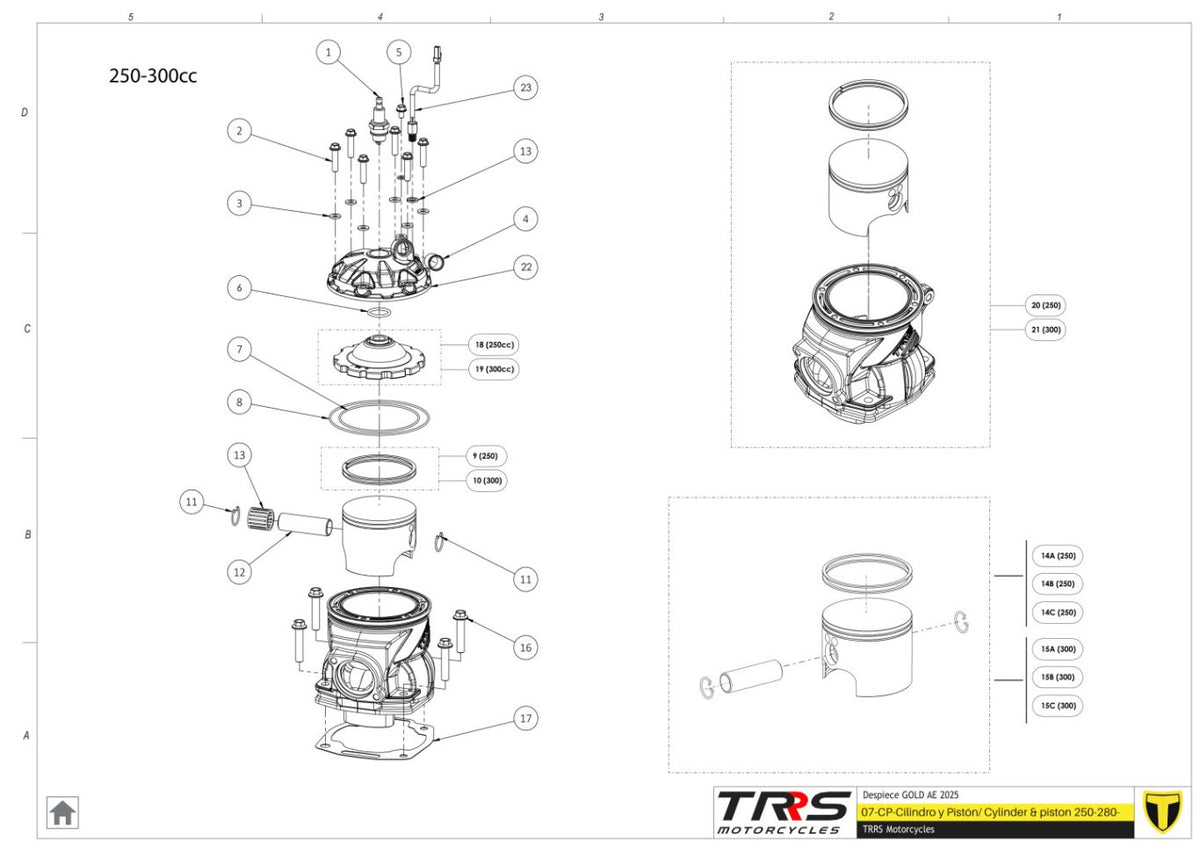 TRRS 2025 ONE GOLD ELECTRIC START (INJECTION) — 07MT Cilindrs un virzulis